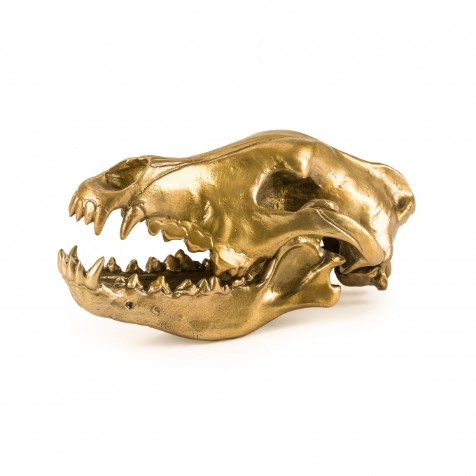 Wolf skull diesel living seletti