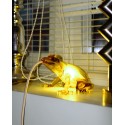 Hungry Frog Lamp