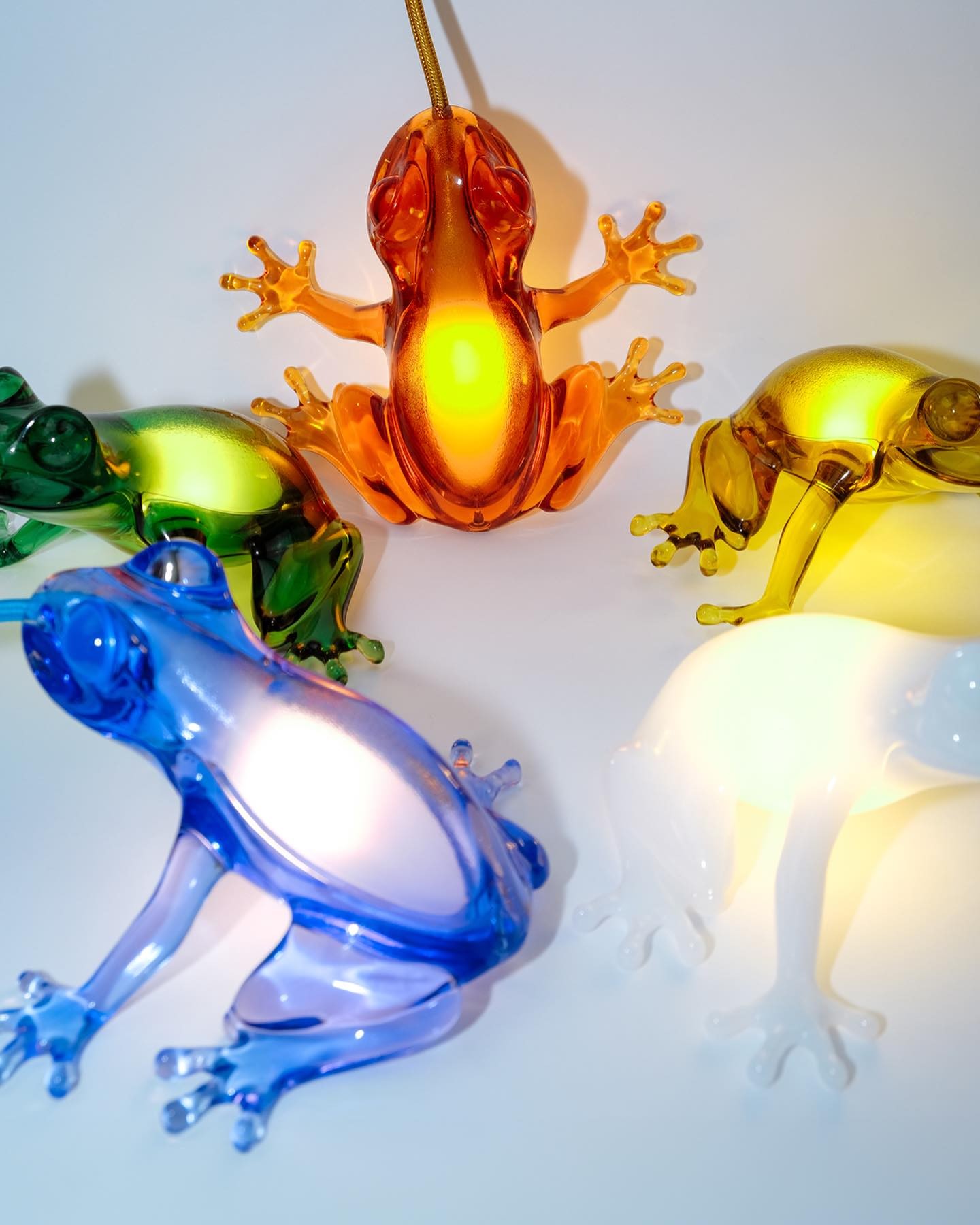 Hungry Frog Lamp