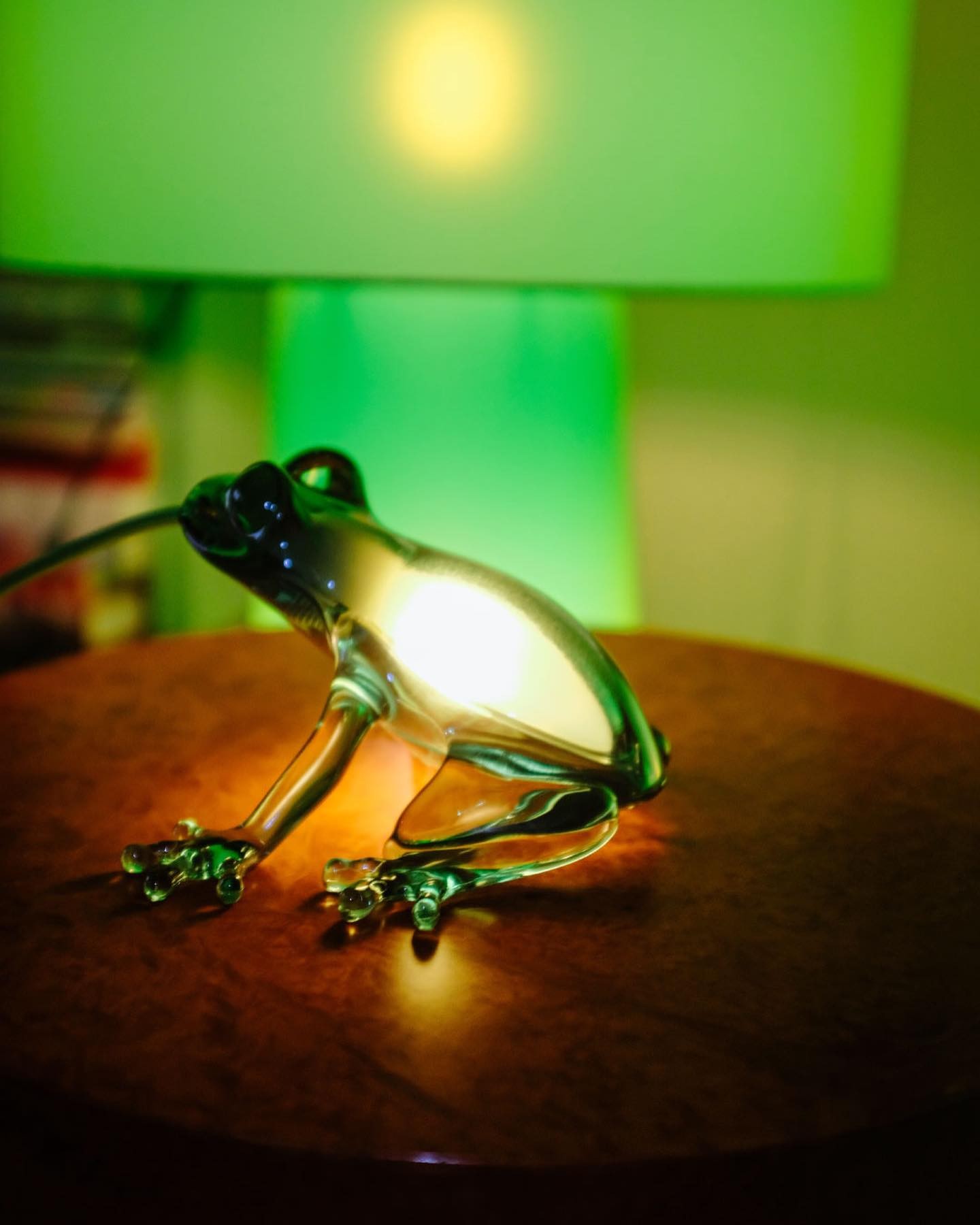 Hungry Frog Lamp