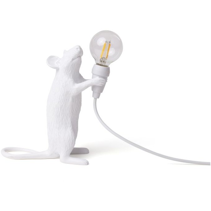 Mouse Lamp Step