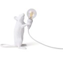 Mouse Lamp Step