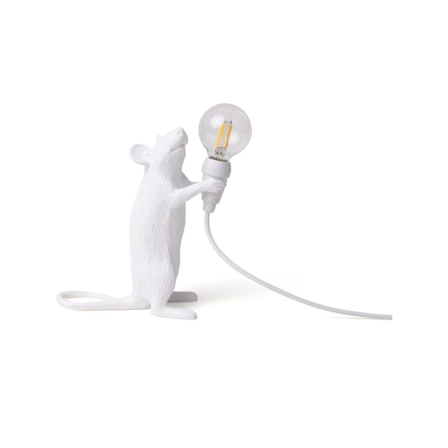 Mouse Lamp Step