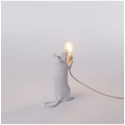 Mouse Lamp Step