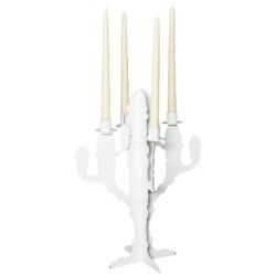 Candelabro Cactus