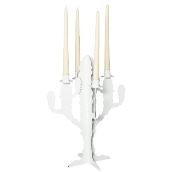 Candelabro Cactus