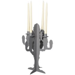 Candelabro Cactus