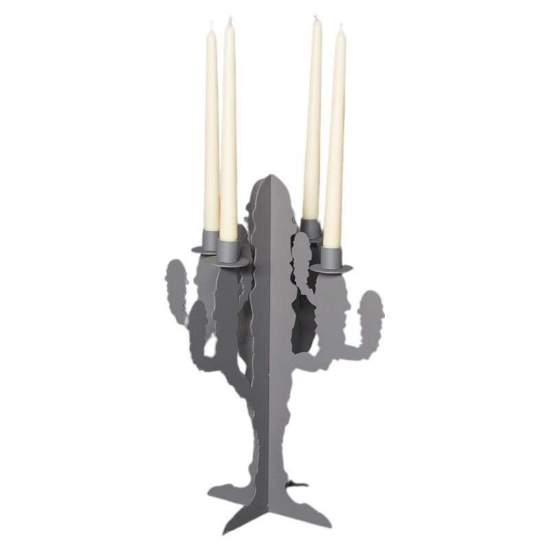 Candelabro Cactus